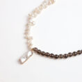 Capricorn Necklace4