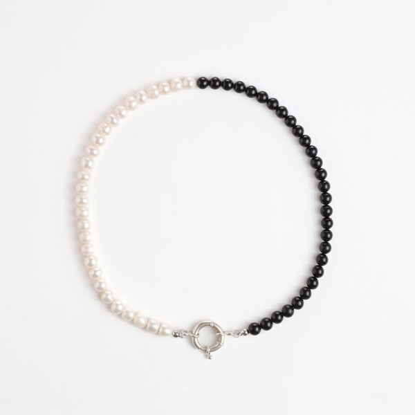 Silver Guard Silver Guard