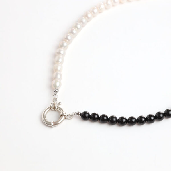 Silver Guard1 Silver Guard1